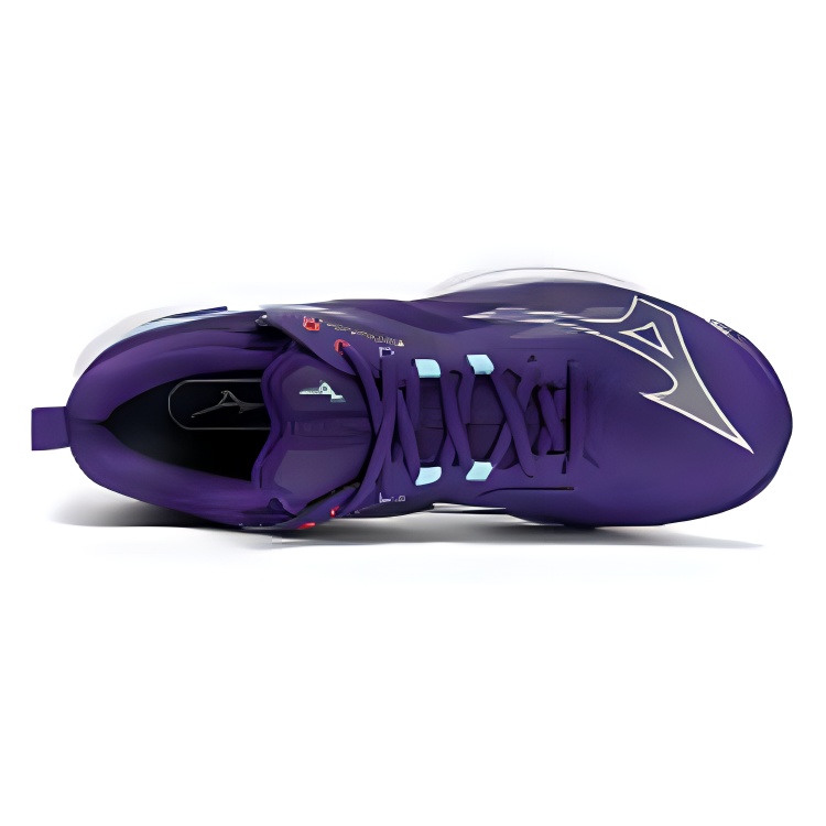 Mizuno Slip Resistant Abrasion Resistant Low top Badminton Shoes Unisex Purple
