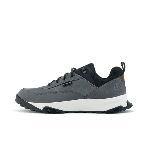 Timberland Mountaineering & Hiking Shoes Men's Medium Gray