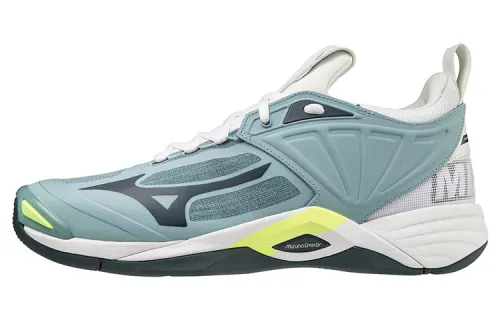 Mizuno Wave Momentum 2 'Grey'
