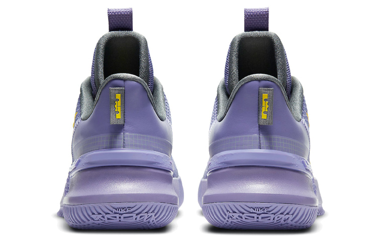 Мужские кроссовки Nike Ambassador 13 LeBron Lakers (фиолетово-золотые) — Фиолетовый / золотой — фото 5