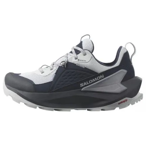 SALOMON Elixir Gtx 'Carbon Pearl Blue' / L00Women's