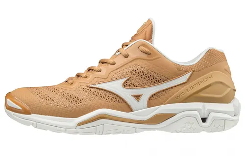 Mizuno Volleyball Shoes Unisex Low Top Brown
