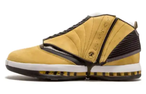 Jordan 16 Og Ginger