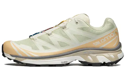 SALOMON XT 6 'Aloe Wash Hazelnut'