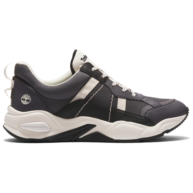 Timberland Delphiville Mountaineering & Hiking Shoes Women’s Low Top Dark Gray