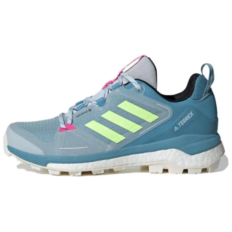 Adidas Terrex Skychaser Mountaineering & Hiking Shoes Women's Low Top Blue