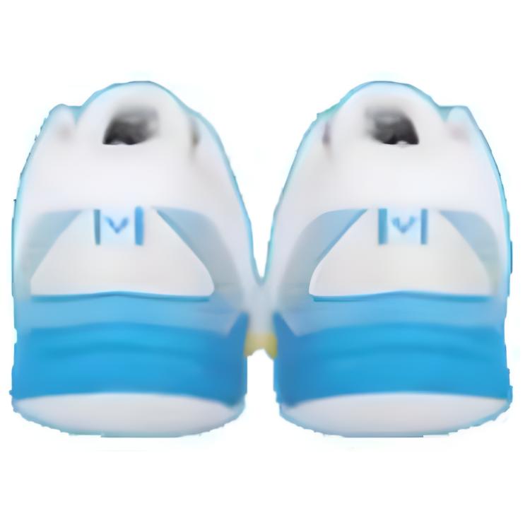 VICTOR Slip Resistant Abrasion Resistant Low top Badminton Shoes Unisex
