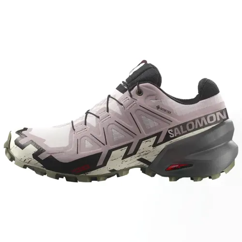 SALOMON Speedcross 6 Gore Tex 'Pink' / L00Women's