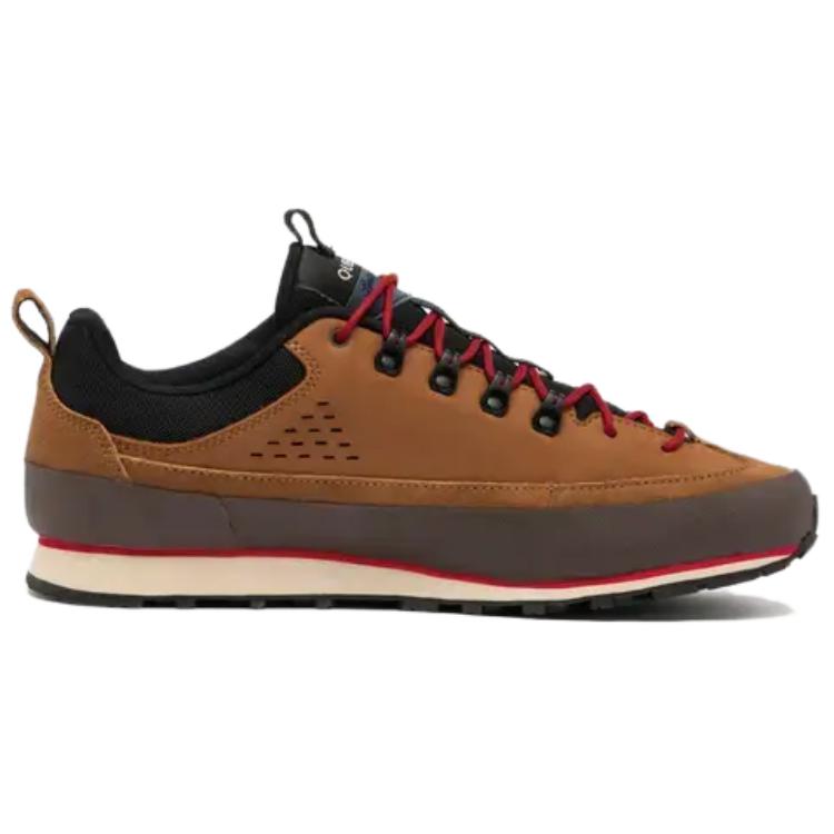 DECATHLON Arpenaz Slip Resistant Abrasion Resistant Low top Hiking Shoes Men’s Brown