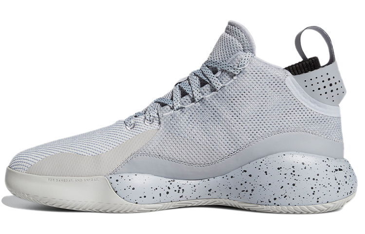 Adidas D Rose 773 2020 'Halo Silver'