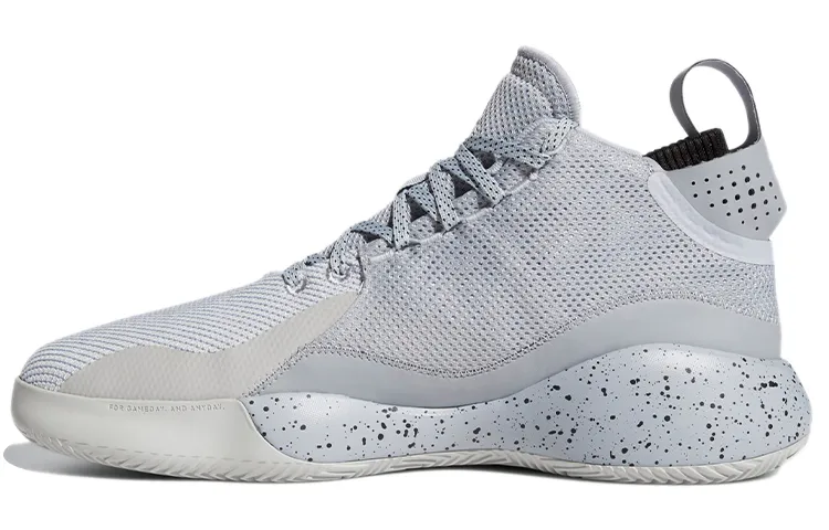 Adidas D Rose 773 2020 'Halo Silver'