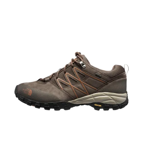 THE NORTH FACE Low top Hiking Shoes Men's Brown