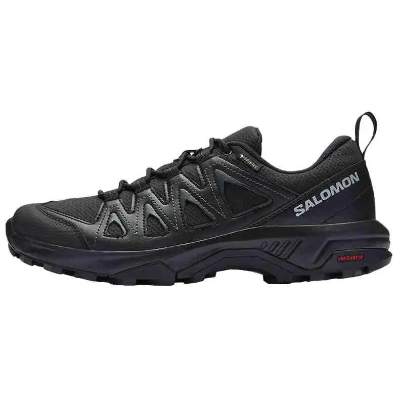 SALOMON X Braze Gtx / L00