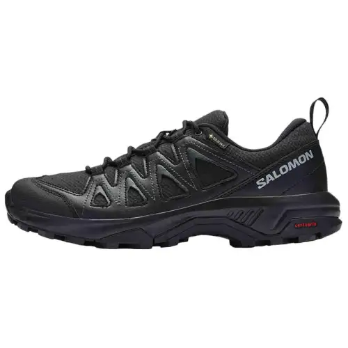 SALOMON X Braze Gtx / L00