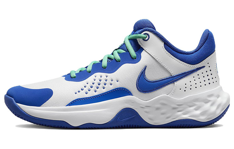 Мужские кроссовки Nike Fly By Mid 3 (белый / синий)
