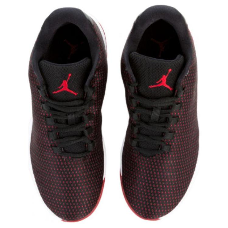 JORDAN B. Fly Bred GS