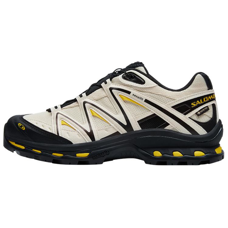 Кроссовки Salomon SALOMON XT-Quest GTX (бежево-серые)