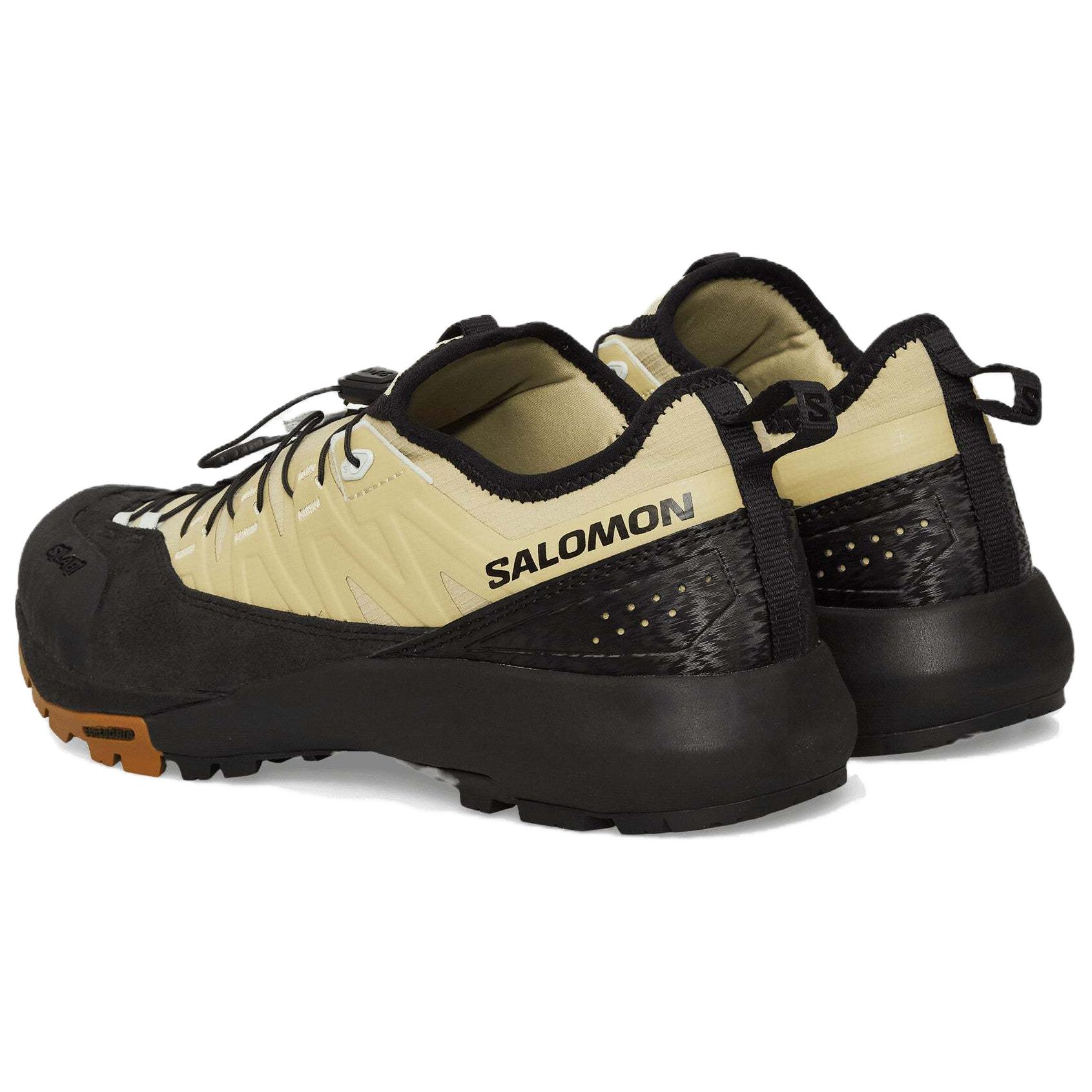 Salomon Alpinway Advanced sneakers