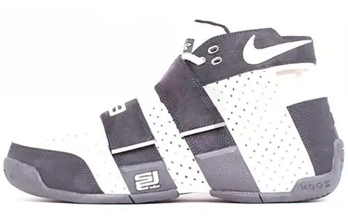 Nike LeBron 20 5 5 Japan