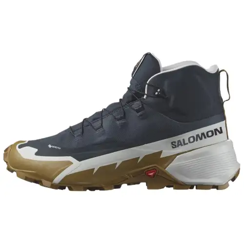 Cross Hike Salomon 2 Mid GORE-TEX 'Carbon Bronze Brown'