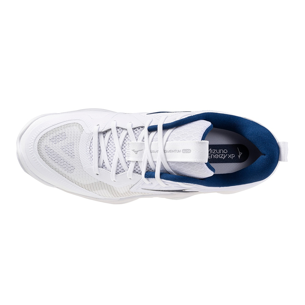 Mizuno WAVE MOMENTUM ELITE Artificial Leather Low top Training Shoes Unisex Marine Blue