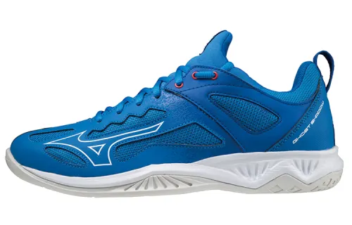 Mizuno Shadow Training Shoes Unisex Low Top Blue