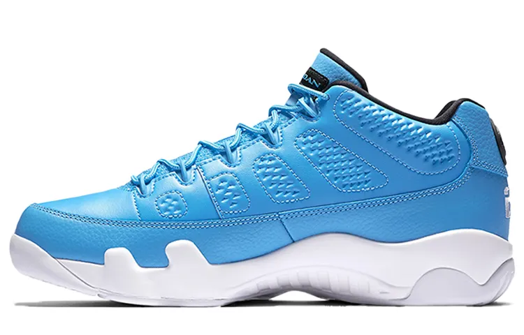 Jordan 9 Retro Low Pantone
