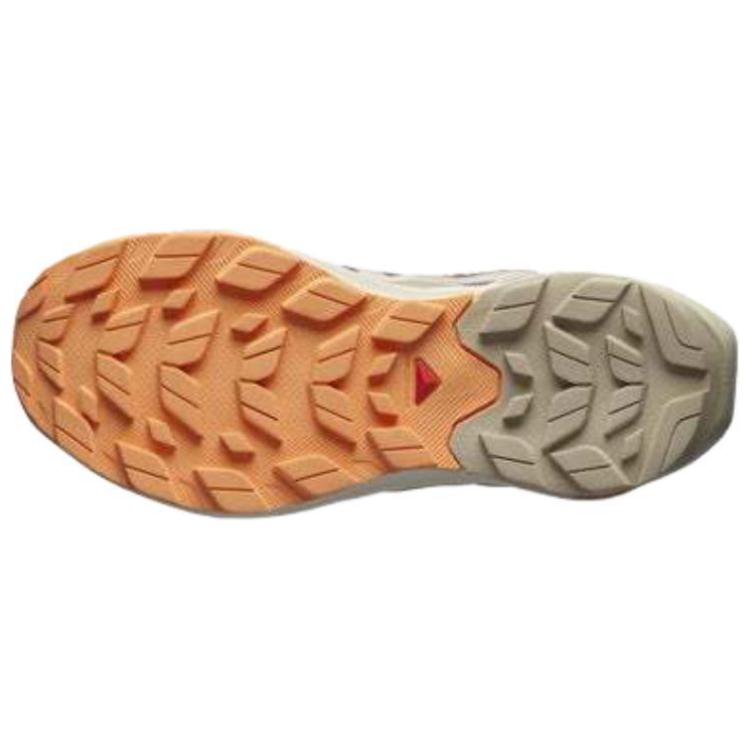 Elixir Activ Wmns Salomon GORE-TEX ‘Falcon Papaya’ Women’s