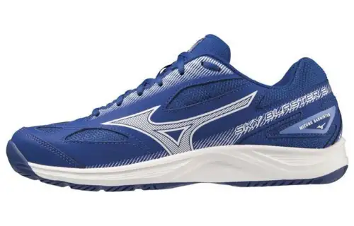 Mizuno Sky Blaster 3 Wide 'Surf The Web'
