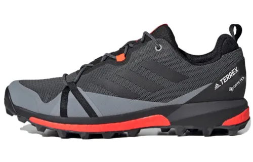 Adidas Terrex Skychaser Mountaineering & Hiking Shoes Men's Low Top Gray
