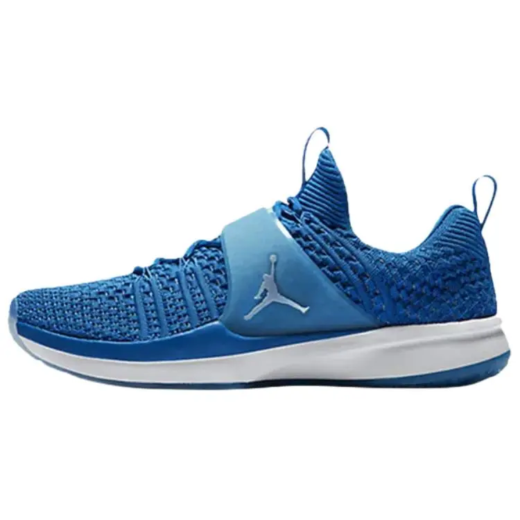 Jordan Trainer 2 Training Shoes Men's Blue