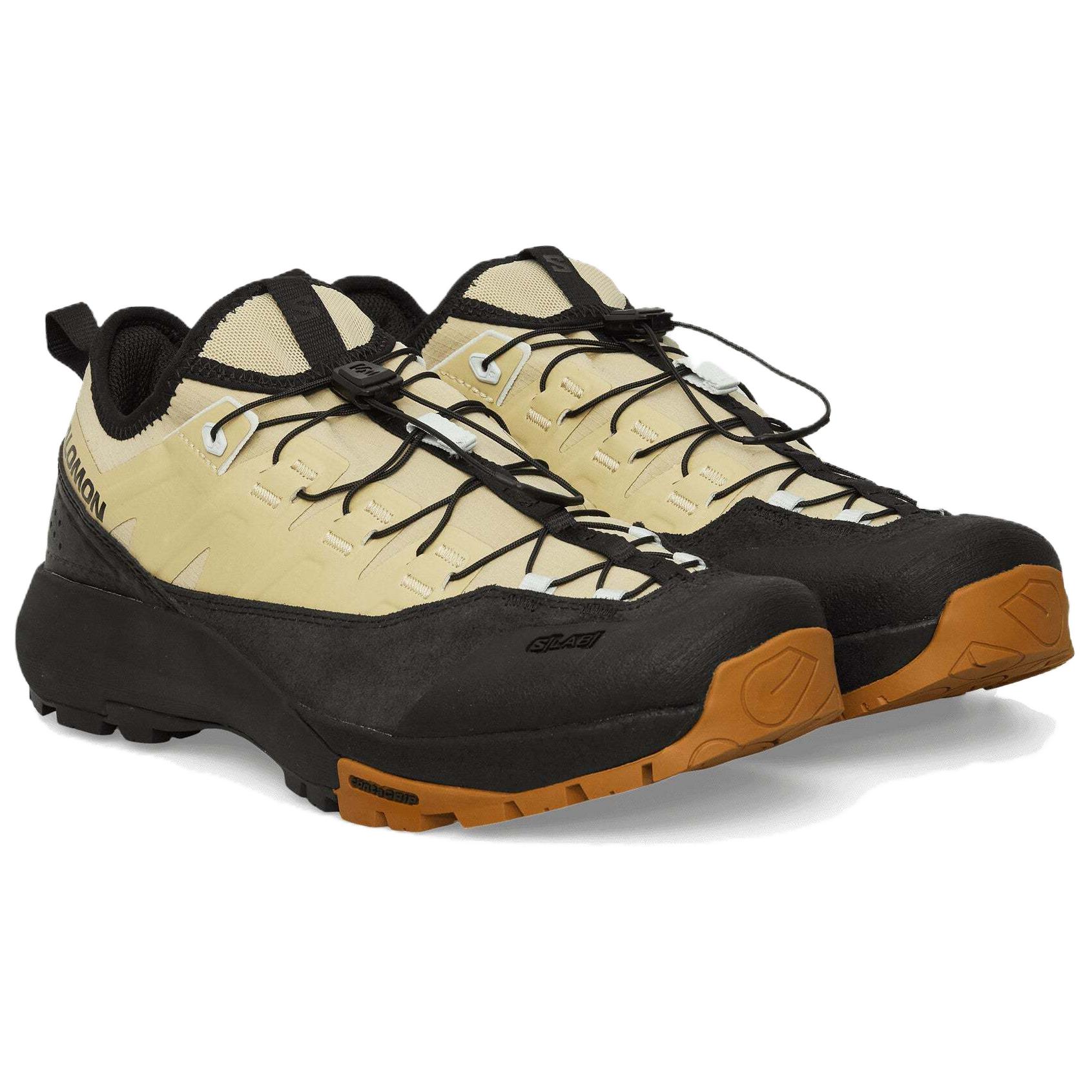 Salomon Alpinway Advanced sneakers