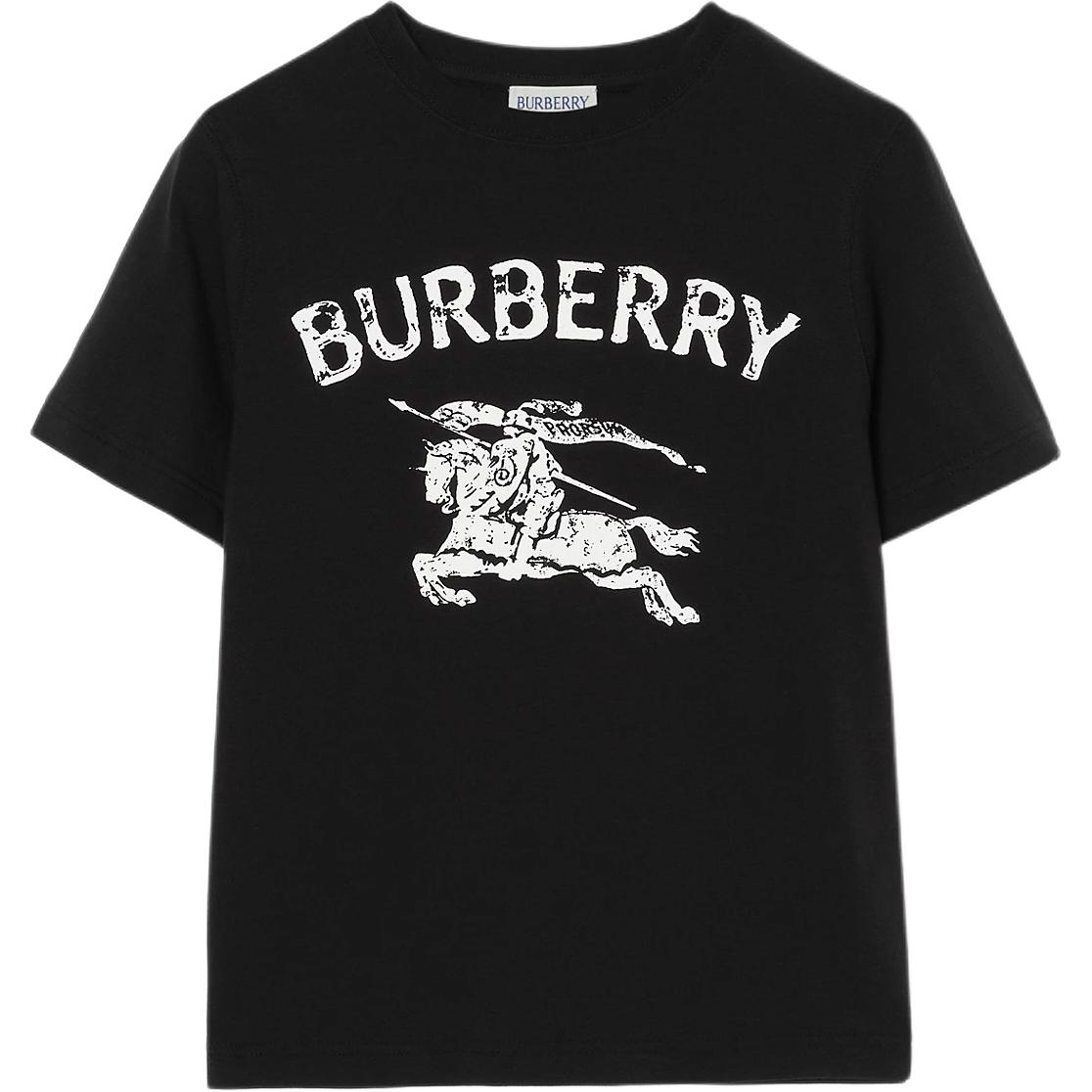 Мужские футболка Burberry BurberryT FW25 (черная)