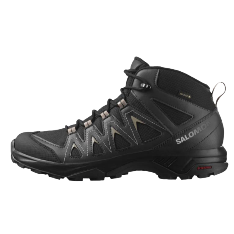 Мужские ботинки Salomon X Braze MID GTX (черные)
