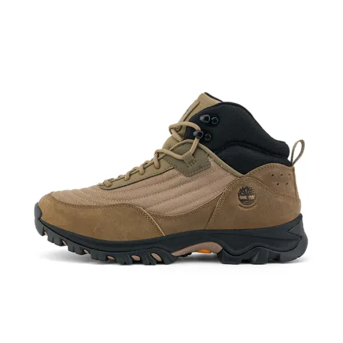 Timberland Mountaineering & Hiking Shoes Men's Brown