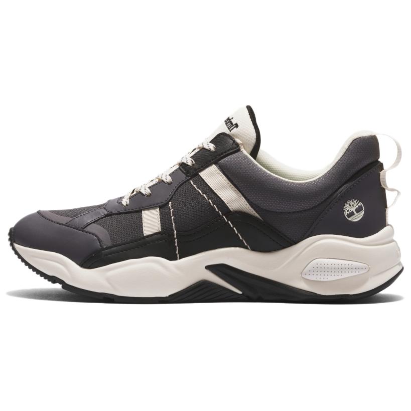 Timberland Delphiville Mountaineering & Hiking Shoes Women’s Low Top Dark Gray