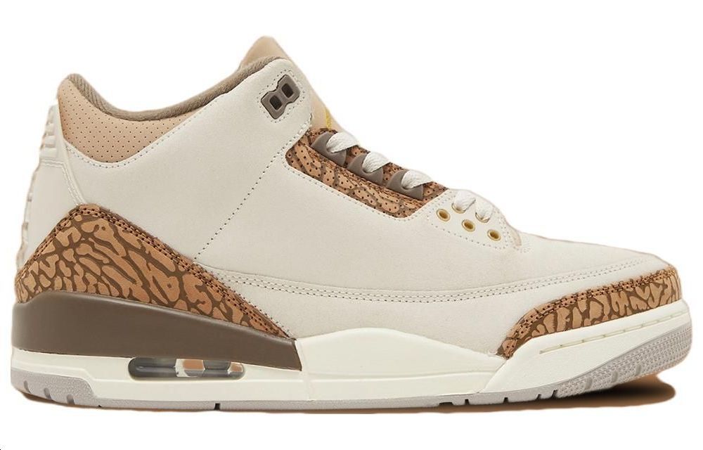 Air Jordan 3 Retro ‘Palomino’ Gs