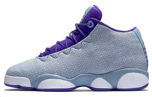 Air Jordan Horizon Low 'Grey Purple' Gs