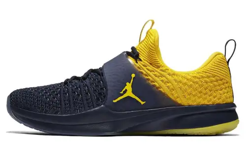 Jordan Trainer 2 Flyknit Michigan