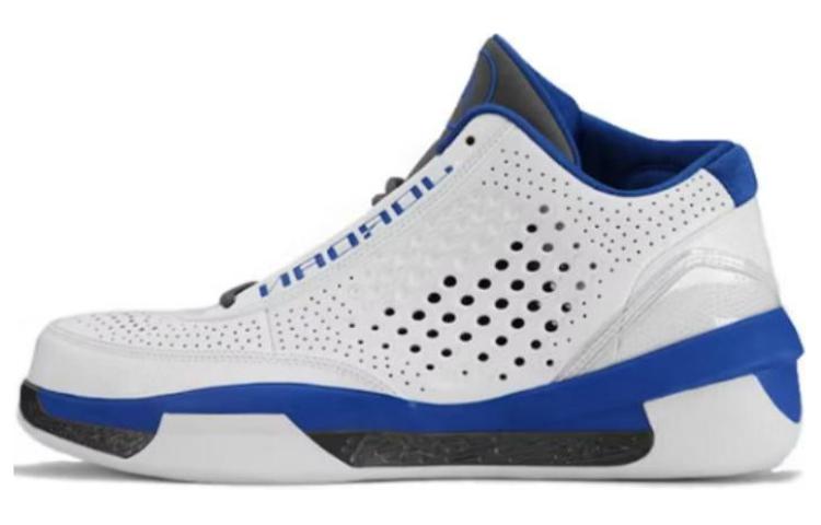 Jordan 2010 Team White Royal Light Graphite
