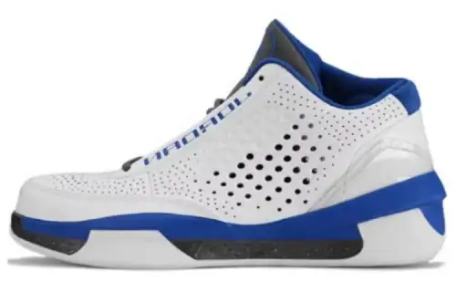 Jordan 2010 Team White Royal Light Graphite
