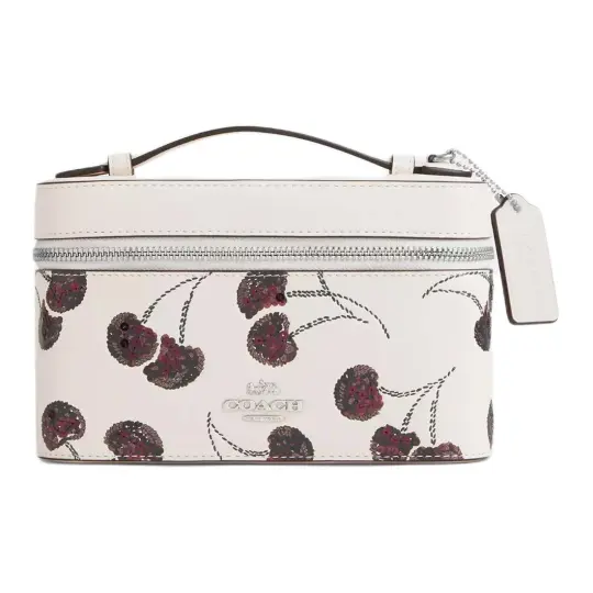 COACH Cosmetic Leather Portable Makeup Bag Small Women's Silver