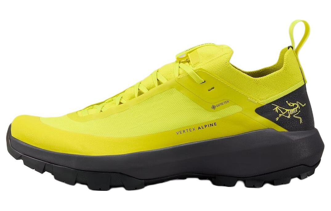 Мужские кроссовки Arcteryx Arcteryx Vertex (желтые)