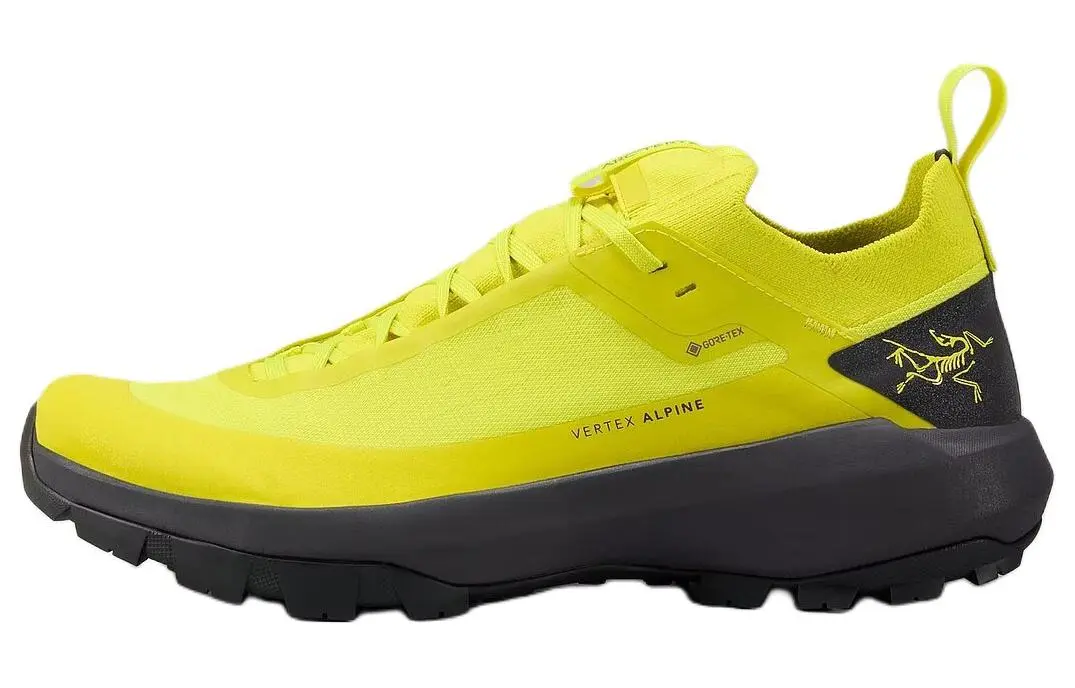 Arc'teryx Verte Lace Up Abrasion Resistant Waterproof And Breathable Support Grip Low top Mountaineering Hiking Shoes