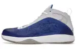 Jordan 2011 All Star White Royal