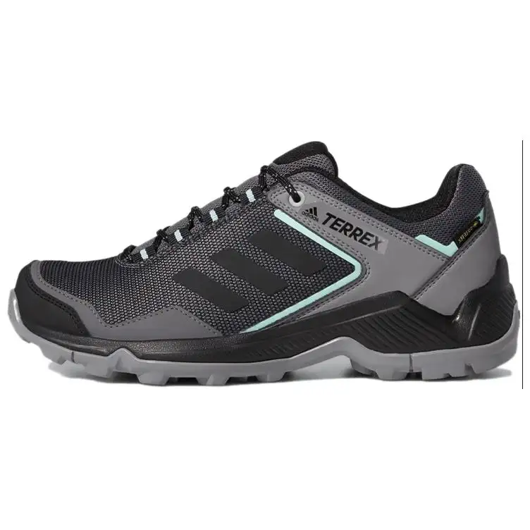 Adidas Wmns Terrex Eastrail Gtx 'Grey Clear Mint' Women's