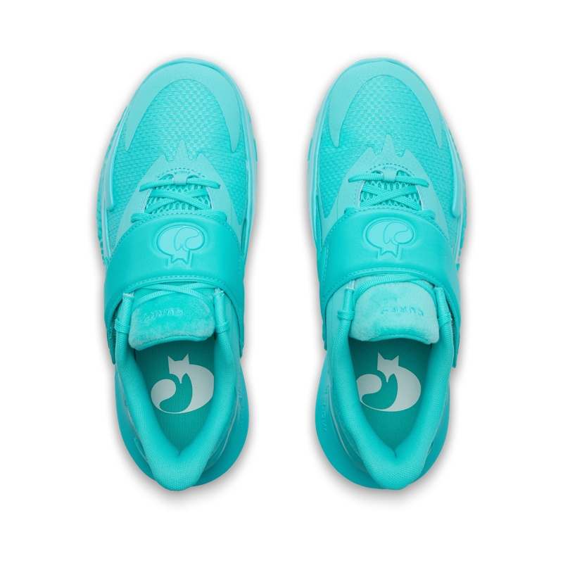 Under Armour Curry Fox 2 Cushioning, Wear Resistant Basketball Shoes Unisex Blue