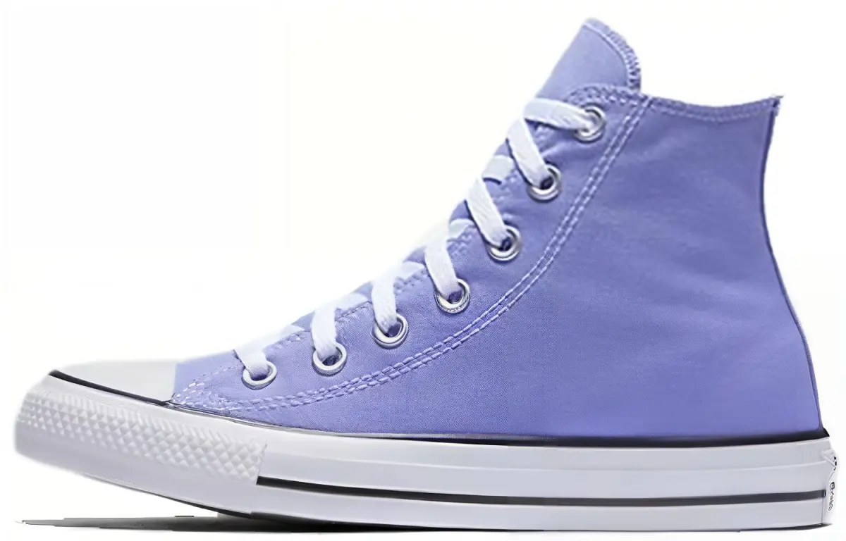Converse Chuck Taylor All Star Seasonal High Top