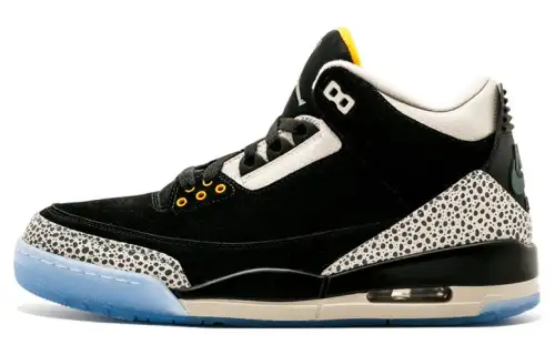 Jordan 3 Retro & Nike Air Max 1 Atmos Pack
