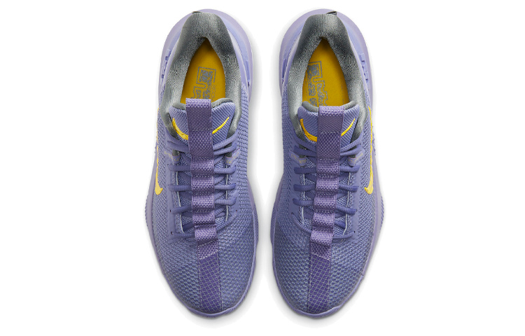 Мужские кроссовки Nike Ambassador 13 LeBron Lakers (фиолетово-золотые) — Фиолетовый / золотой — фото 4